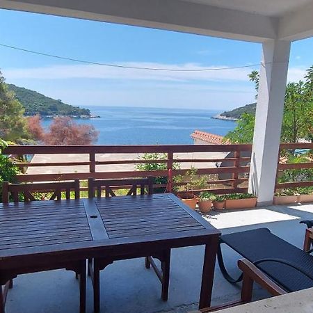 Apartment Kristic - Saplunara, Mljet Babino Polje 外观 照片