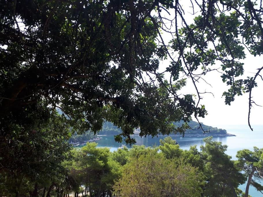 Apartment Kristic - Saplunara, Mljet Babino Polje 外观 照片