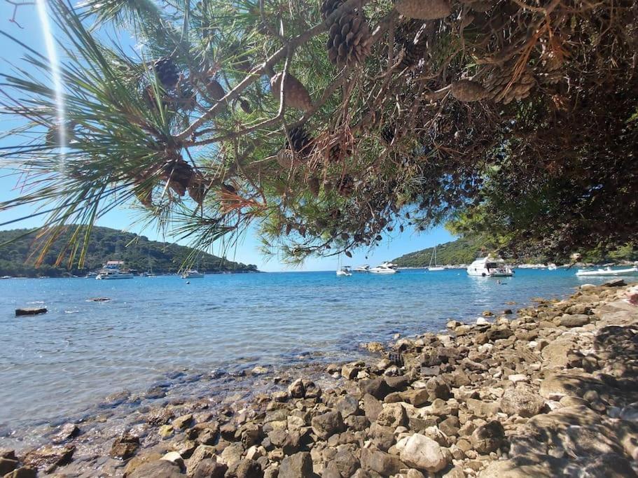 Apartment Kristic - Saplunara, Mljet Babino Polje 外观 照片