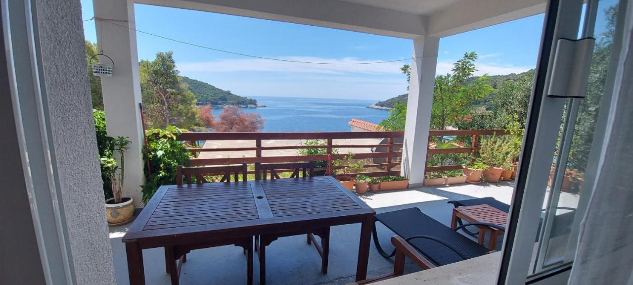 Apartment Kristic - Saplunara, Mljet Babino Polje 外观 照片