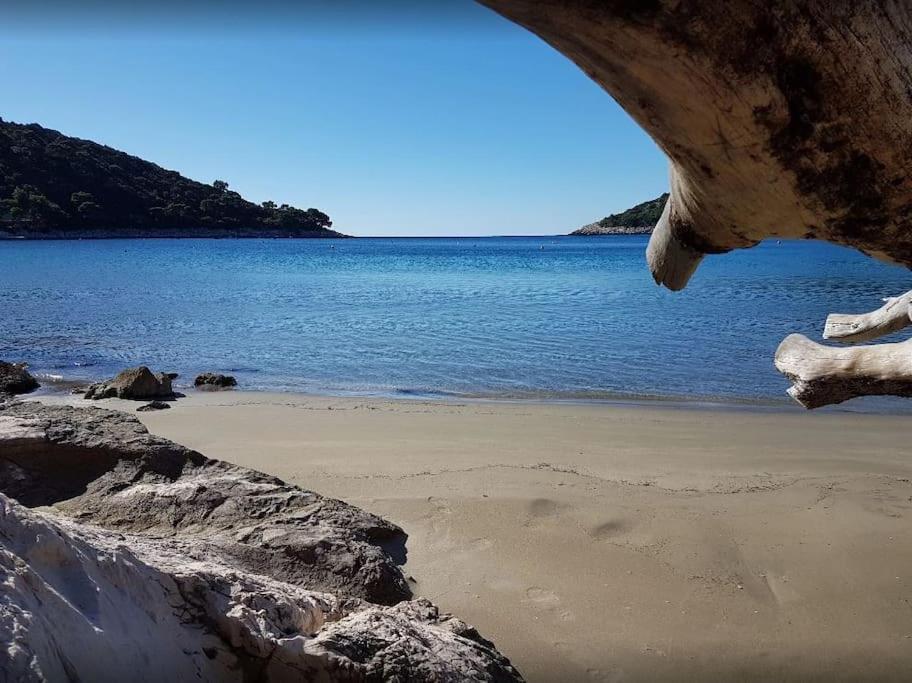 Apartment Kristic - Saplunara, Mljet Babino Polje 外观 照片