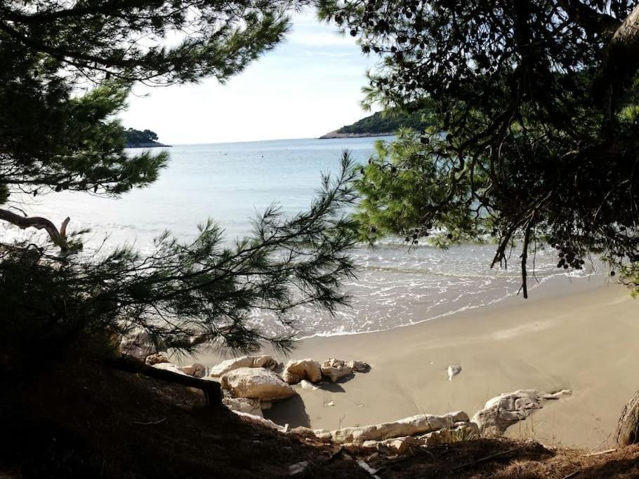 Apartment Kristic - Saplunara, Mljet Babino Polje 外观 照片