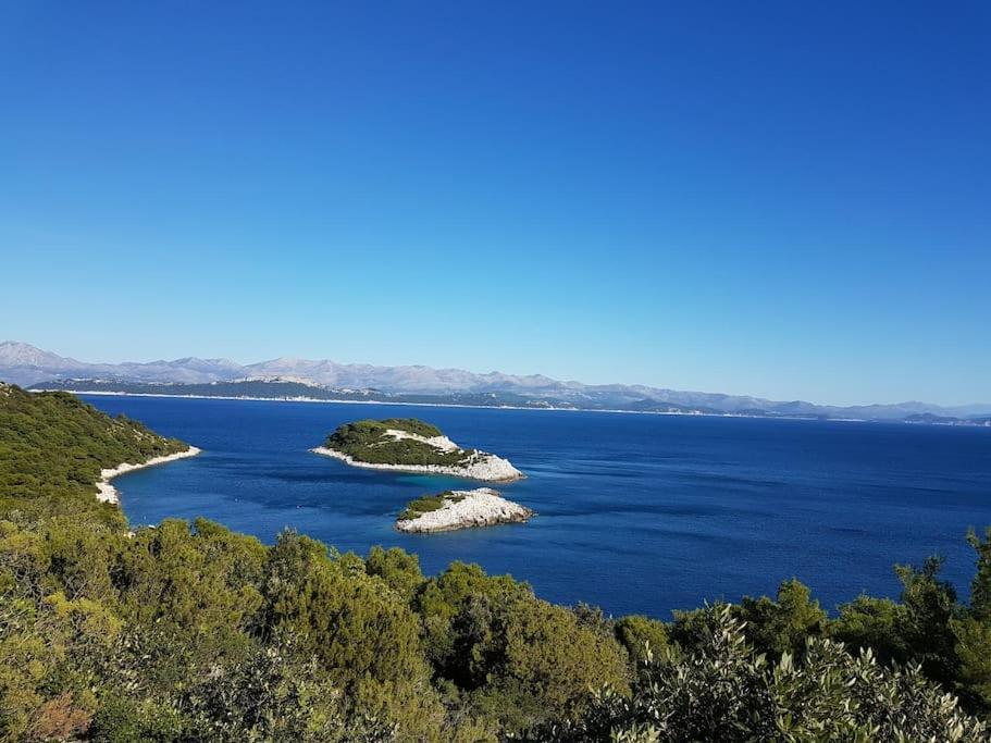 Apartment Kristic - Saplunara, Mljet Babino Polje 外观 照片