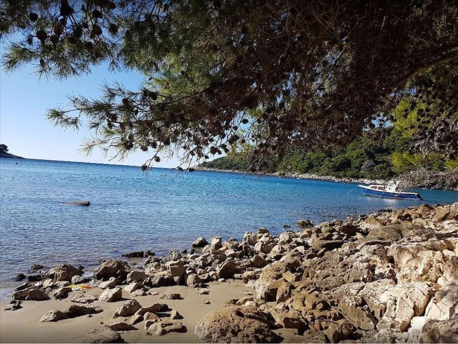 Apartment Kristic - Saplunara, Mljet Babino Polje 外观 照片