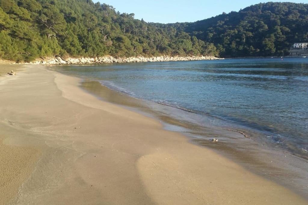 Apartment Kristic - Saplunara, Mljet Babino Polje 外观 照片