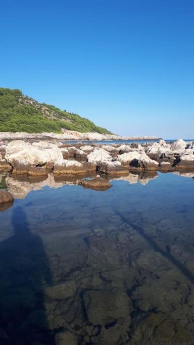 Apartment Kristic - Saplunara, Mljet Babino Polje 外观 照片