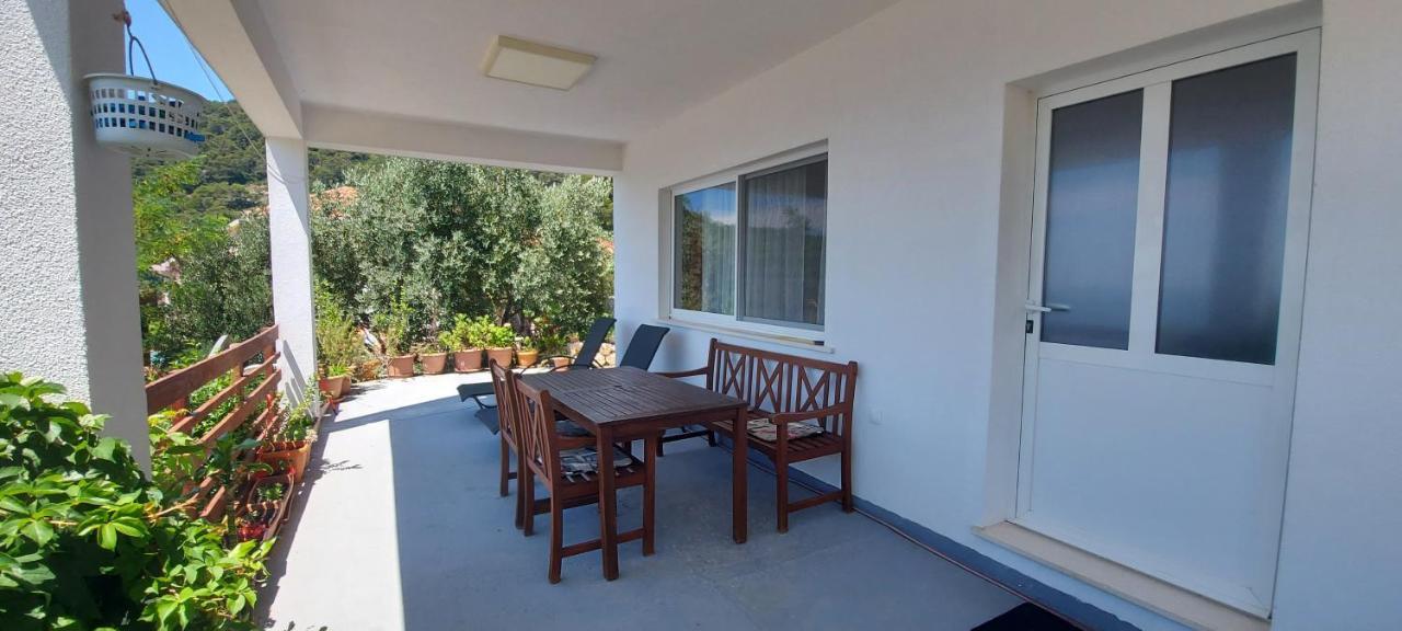 Apartment Kristic - Saplunara, Mljet Babino Polje 外观 照片